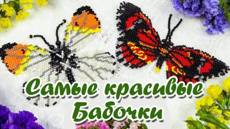 Бабочка из бисера (114 фото): пошаговые мастер-классы для начинающих и схемы плетения большой и маленькой бабочки из бисера
