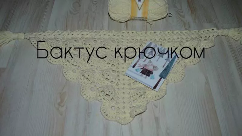 Бактус крючком (78 фото): простые схемы для начинающих и описание вязания красивого, ажурного бактуса крючком