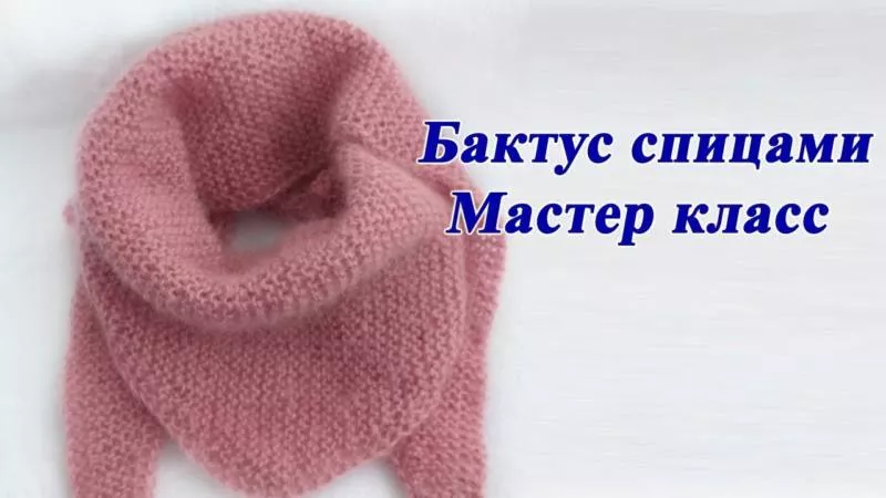 Бактус спицами - простые схемы для начинающих с описанием вязания красивого бактуса спицами