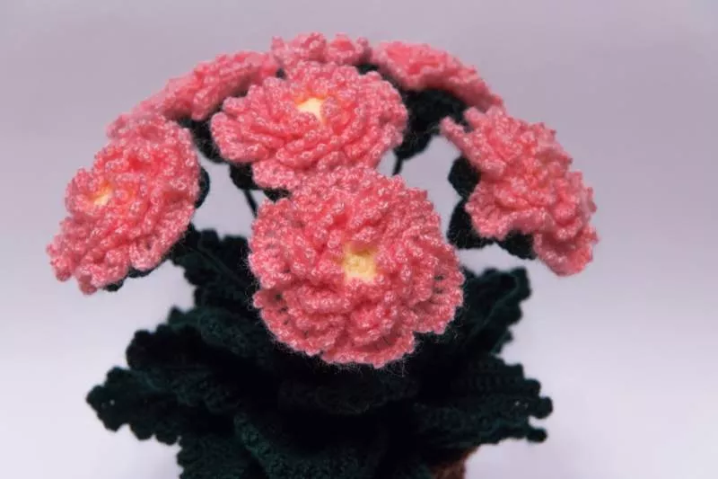 Вязание цветов крючком - пошаговые мастер-классы для начинающих и схемы с описанием вязания цветов крючком