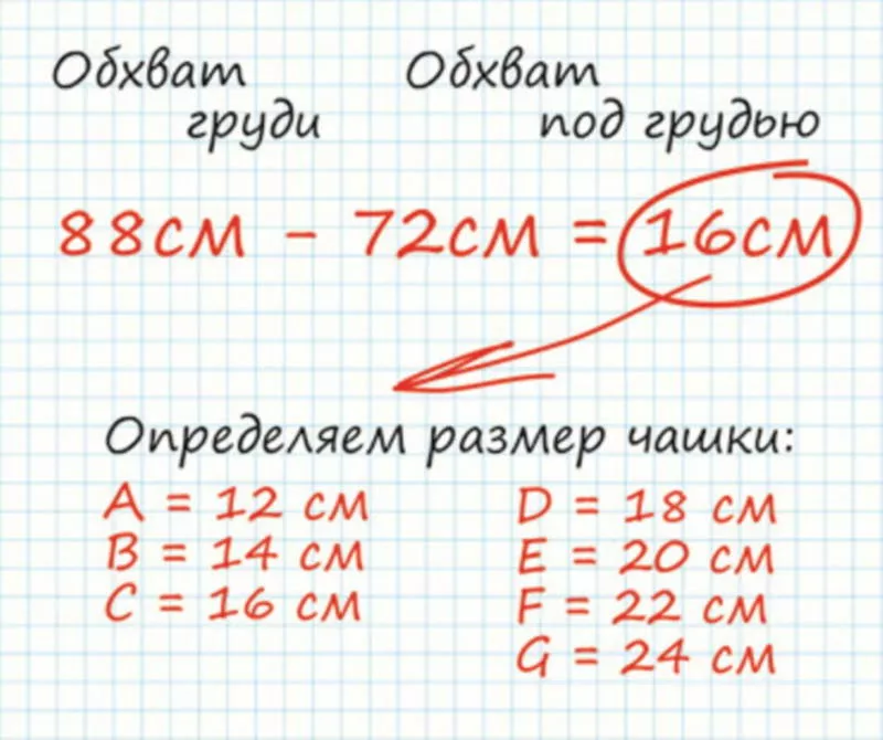 Как определить размер груди: по сантиметрам, буквам, ладошке, визуально и по бюстгальтеру (89 фото)
