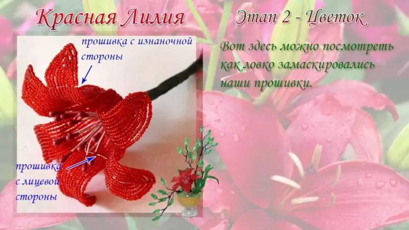 Лилия из бисера (106 фото): пошаговые мастер-классы для начинающих и схемы плетения цветка лилия