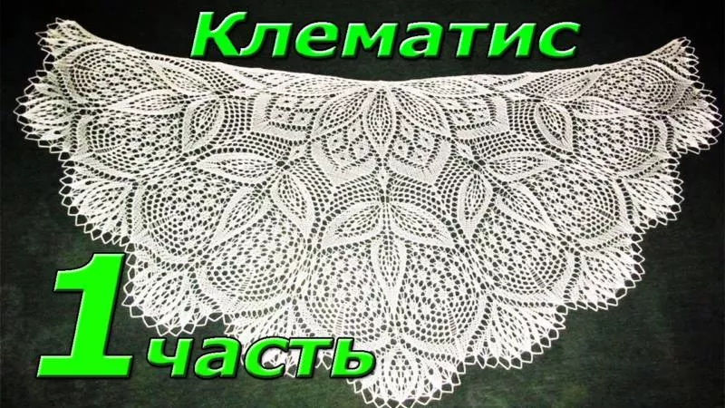 Шаль крючком (99 фото): простые узоры, схемы, мастер-классы для начинающих и описание вязания красивой ажурной шали
