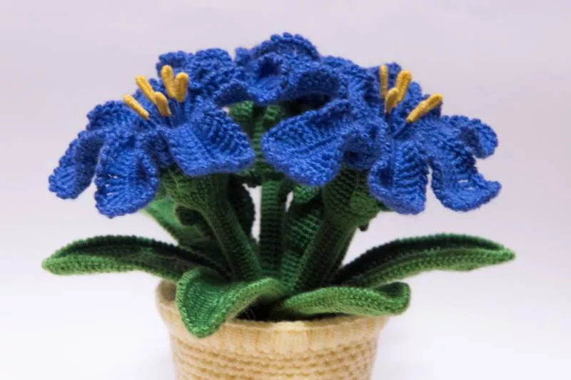 Вязание цветов крючком - пошаговые мастер-классы для начинающих и схемы с описанием вязания цветов крючком