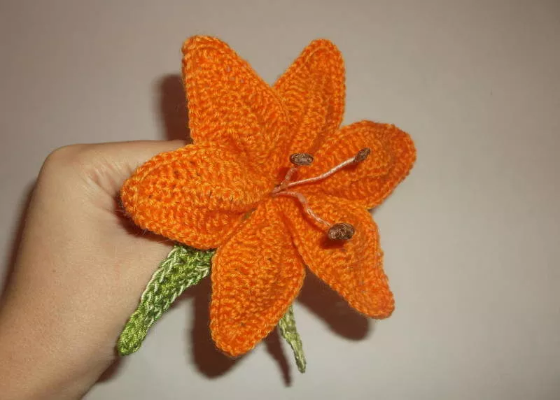 Вязание цветов крючком - пошаговые мастер-классы для начинающих и схемы с описанием вязания цветов крючком