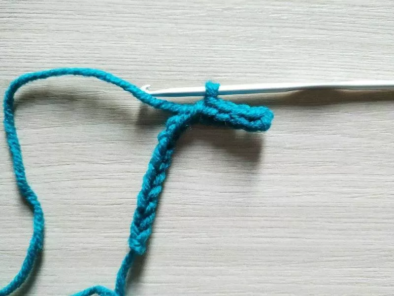 Вязание шнуров крючком - мастер-классы для начинающих и схемы вязания мастер-классы для начинающих и схемы вязания полиэфирного и хлопкового шнура крючком