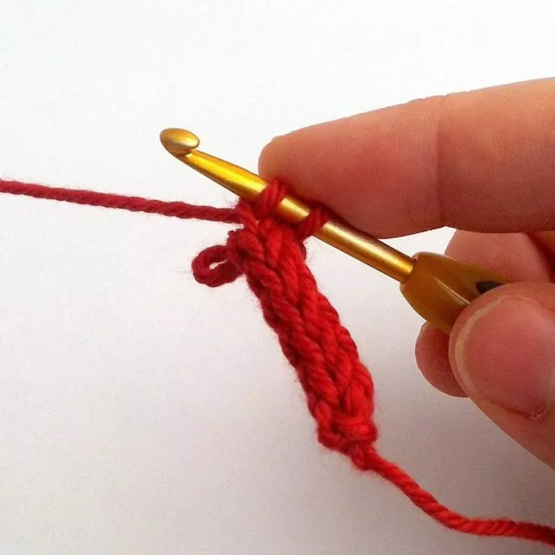 Вязание шнуров крючком - мастер-классы для начинающих и схемы вязания мастер-классы для начинающих и схемы вязания полиэфирного и хлопкового шнура крючком